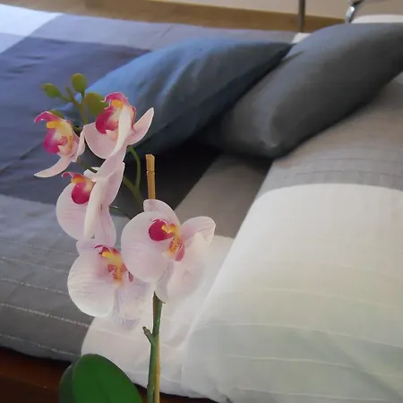 Apartment Your Sweet